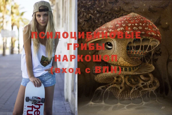 наркотики Богородицк