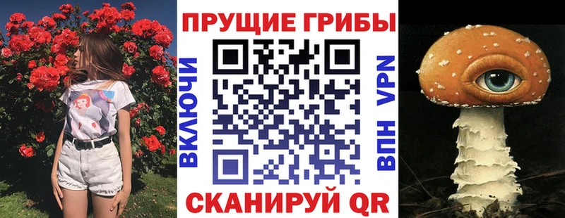 что такое наркотик  МЕГА   Псилоцибиновые грибы Magic Shrooms  Невельск 