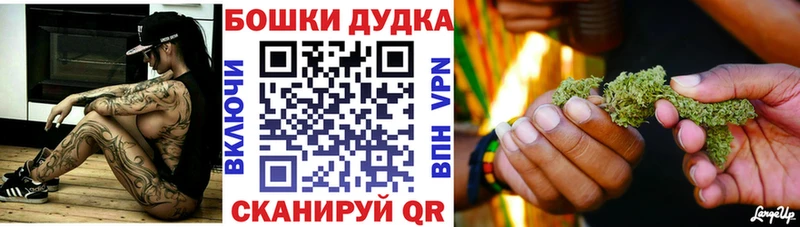 блэк спрут ссылка  Невельск  Каннабис семена  цены  
